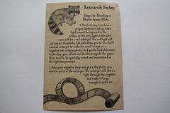 Monthly Inventors Who Changed History Letter