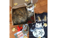 Crazy CatLadyBox!!