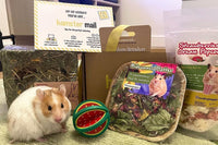 Hamster Mail