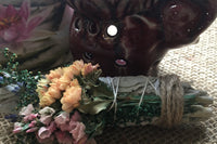 Rose & Plume Divinity Collection