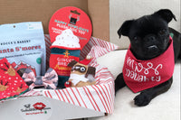 SealedWithPugKisses Specialty Dog Boxes