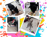 Canine Enrichment Box