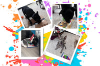 Four images of different dogs doing enrichment. Behind images is paint splatter with multiple colors.