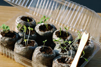 Organic seed starting soil pods by Monthly Seed Club by Urban Organic Gardener 