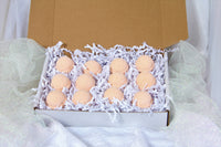 Bubble Bath Bomb Bonanza - 12 pack