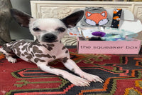 Deluxe Wag Swag Box