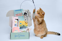 Monthly Gus & Bella Box