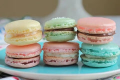 Macaron Variety Box