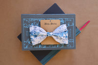 Hair bow surprise box