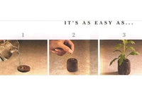 Butterfly Garden Kit