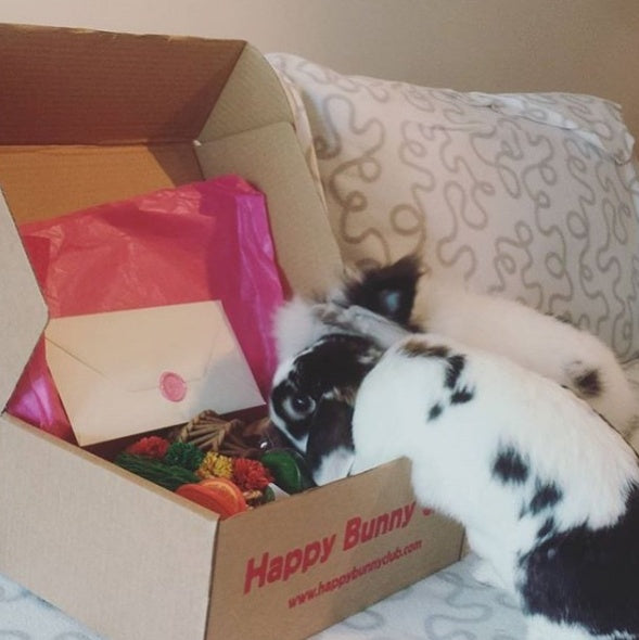 Happy Bunny Club Box