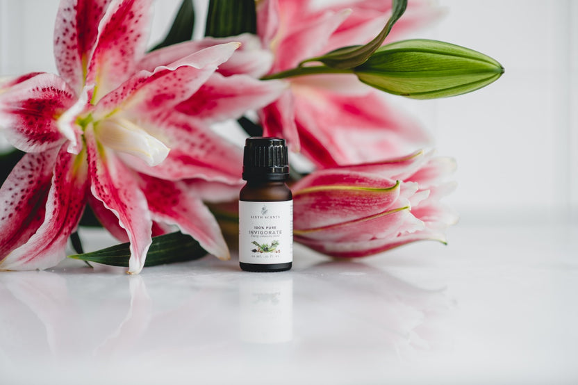 Collectors Club . 100% Pure Essential Oils . Set of 6 . Curated Each Month