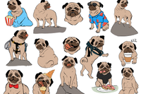  Vinny the Pug's Sticker group #5 contain many images inspired by actual photographs of Vinny climbing boulders in the Sonoran Desert.