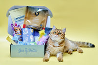 Monthly Gus & Bella Box