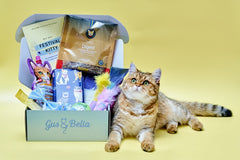 Monthly Gus & Bella Box