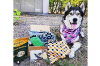 Dog Mom Box