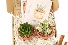 subscription boxes plants, plants subscription, monthly subscription for plants, subscription for kids, subscription boxes for teens