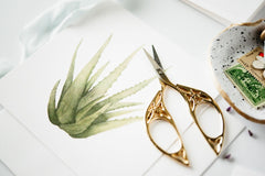 Come Alive Studio Stationary Subscription