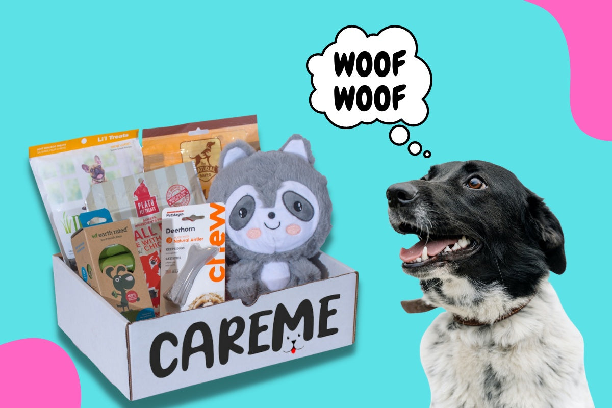 Customized premium dog subscription box, With each purchase we donate to homeless animals!- CareMebox