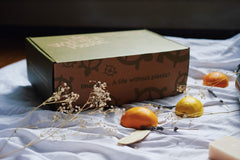 Life Without Plastic Box
