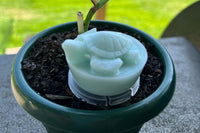 12 Days of Wax Melt Advent Calendar