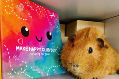 The Make Happy Club Box