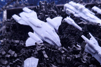 Galactic Fleet Crate