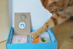 The KitTea Kit