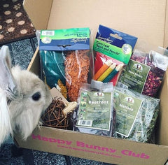 Happy Bunny Club Box