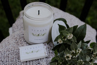 Light Box - A Monthly Candle Subscription  ✨