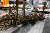 Bass Baits