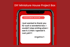 Mental Wellness in a Red Box (Theme: A Path To Purpose)