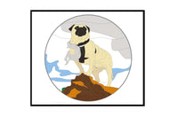 This is the design of Vinny's November Trading Pin.  It' is based on the real-world photo of Vinny atop a boulder named, Faux Mt Camelback. 