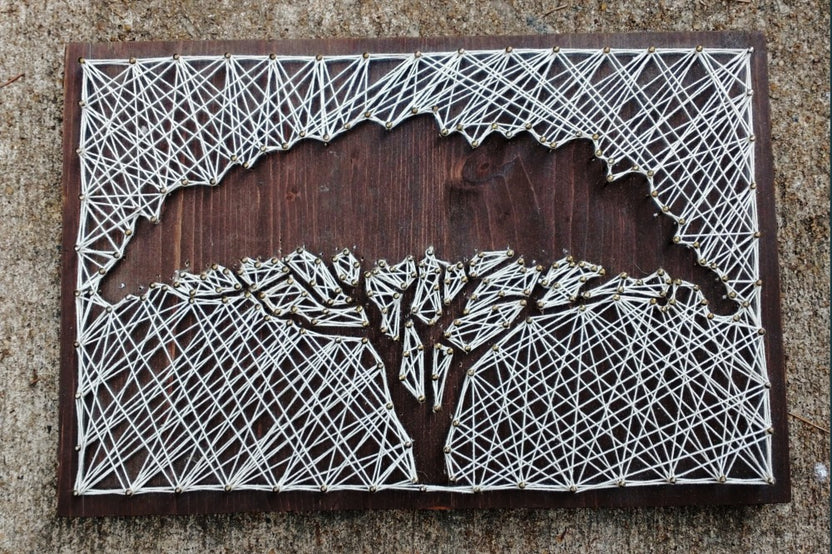 A negative space string art acacia tree. the tree itself is bare wood and the string covers the rest of the board.