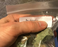 Crystals R My Life Monthly Package