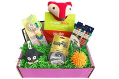 Sensory TheraPLAY Box!