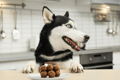 Recieve a variety of dog treats every month to your doorstep for you and your furbaby to enjoy. Explore what your pup loves! 