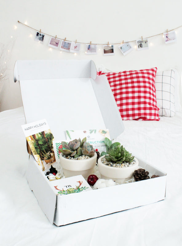 Image of Christmas Gift Box - 2 Succulents (duplicate SQ2942258)