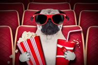 I hope you enjoy your Movie Critic Subscription Box experience. We know you will enjoy getting this fun box every month.