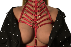 PLATINUM PLUS-BDSM, COSPLAY & GOTHIC BRAS