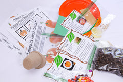 Sprout and Blossom Box
