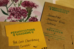Seed Samplers