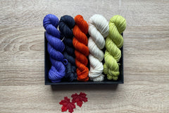Mini Skeins Club