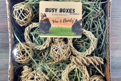 Busy Box