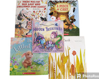 Children's Used Picture Book Box