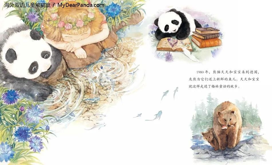 Image of 世界各地的大熊猫们《熊猫外交家》