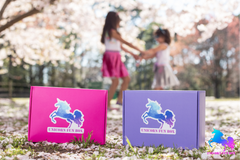 Enjoy the Best Unicorn Kid subscription box for all unciorn lovers all all ages. A pink and purple unicorn fun box.