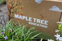 Maple Tree Preschool Learning Box