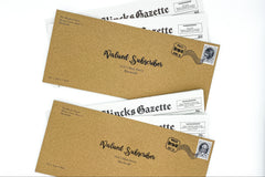 Puzzling Newspaper Subscription - The Hincks Gazette