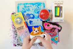 Sensory TheraPLAY Box!